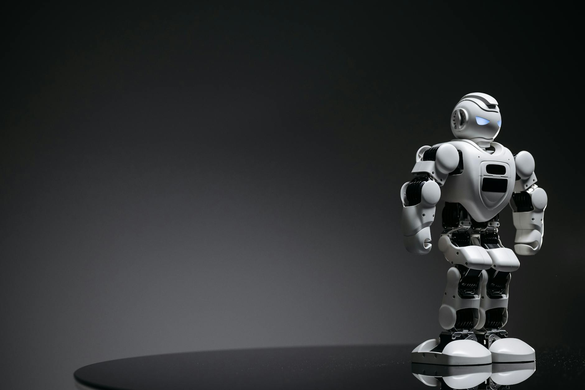 13. Robotics and Artificial Intelligence